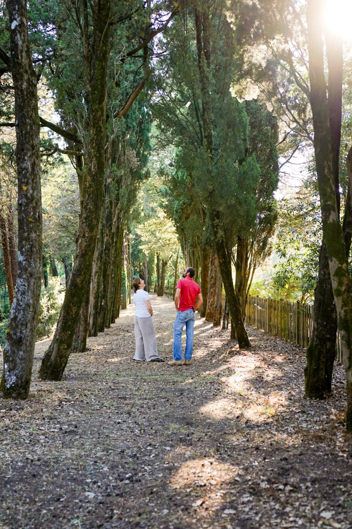 Borgo Di Camporsevoliヴィラ エクステリア 写真
